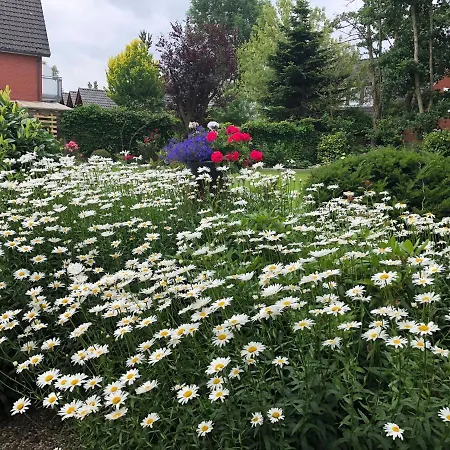 Appartement Haus Annegrete Mit Ueberdachter Terrasse Zum Garten Bensersiel
