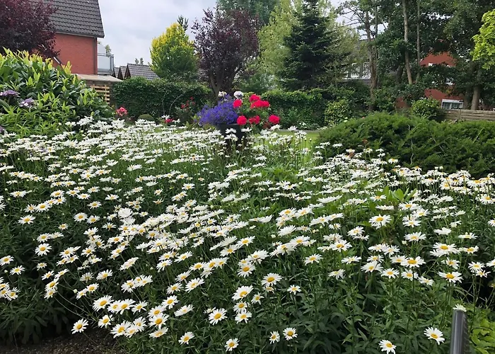 Appartement Haus Annegrete Mit Ueberdachter Terrasse Zum Garten Bensersiel
