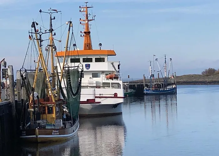 Haus Annegrete Mit Ueberdachter Terrasse Zum Garten